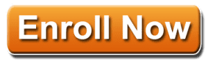 plc training institute in chennai